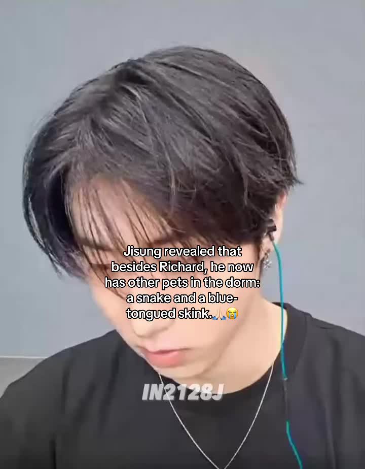 @๐ข๐ฑ๐ช๐ญ๐ธ๐ | ๐ป๐พ๐ท ๐ฒ๐ฝ๐ง