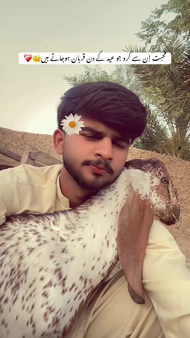 @دانی۰❤️🩹
