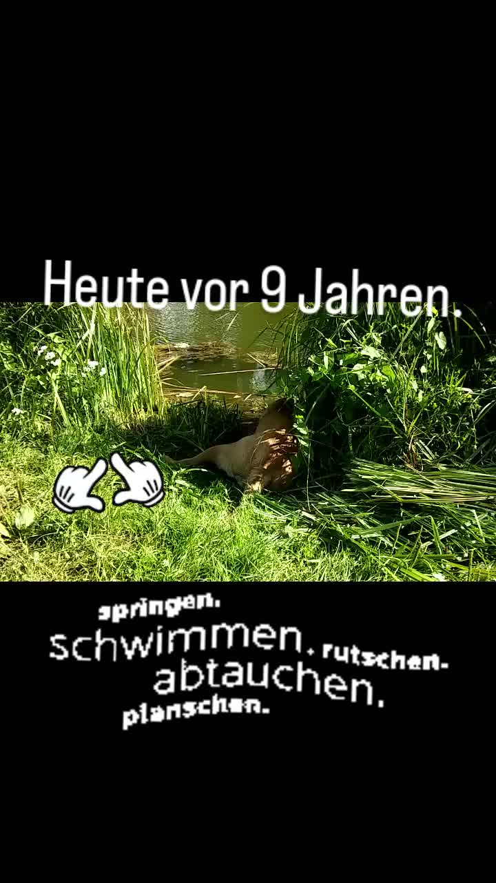 @Manuela Stockhausen