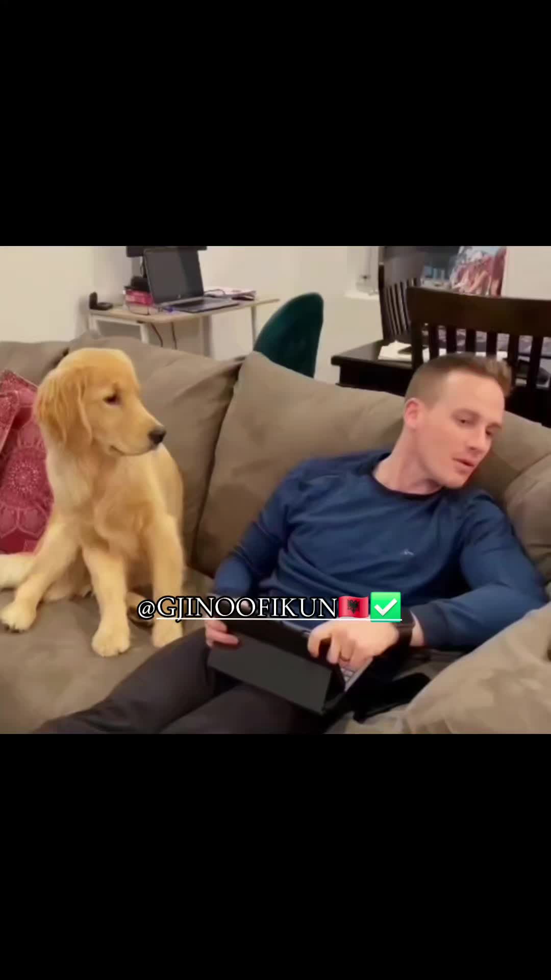 @GJINOOFIKUN🇦🇱✅️