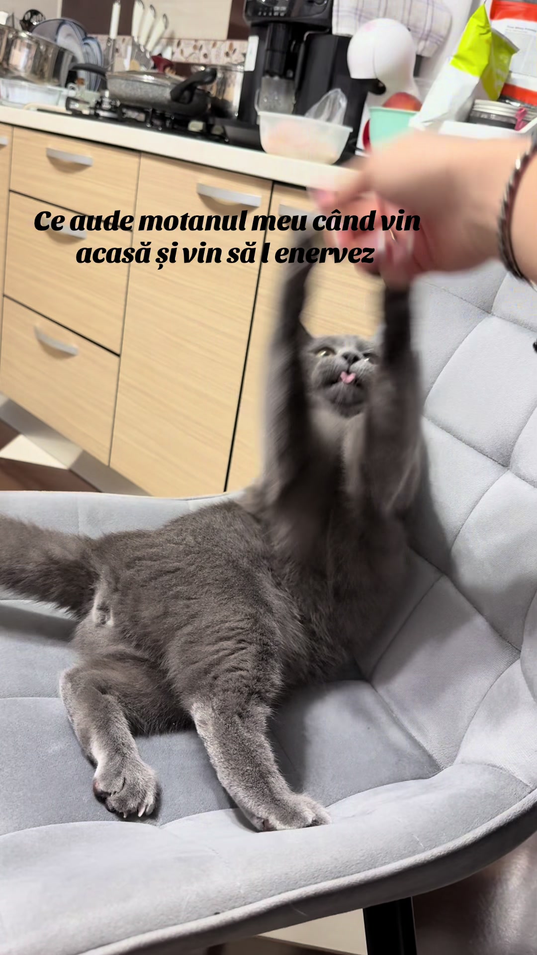 @nnico_06.12