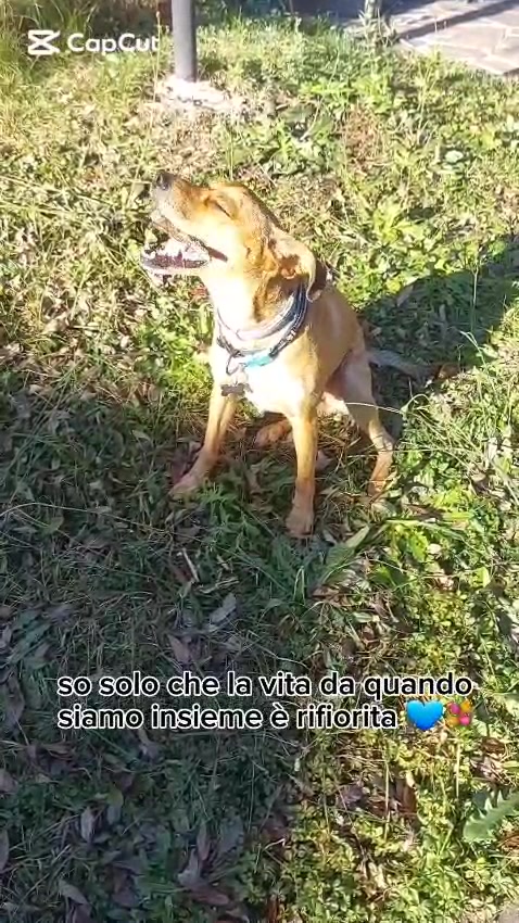 @Stefano