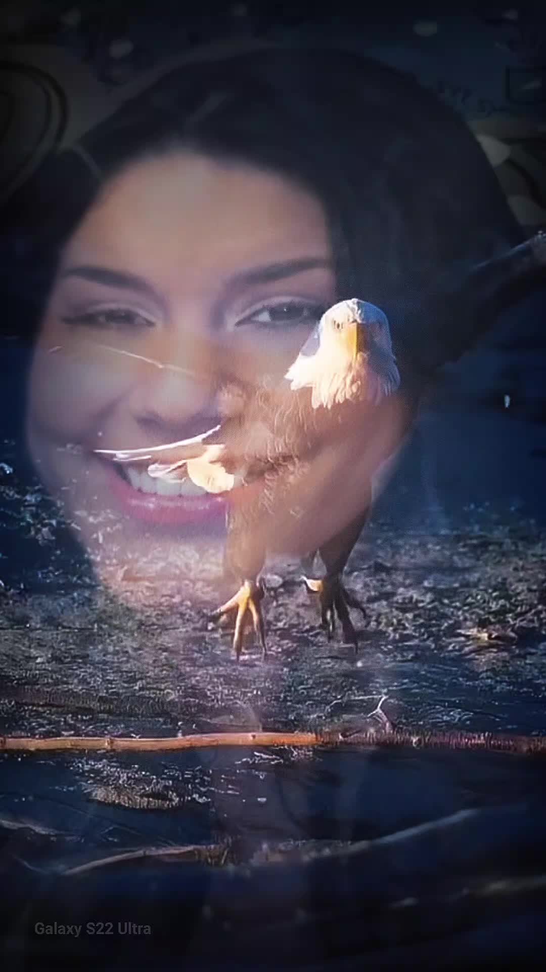 @ahlam