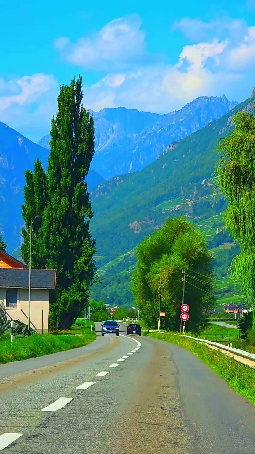 @🇨🇭flores Sérgio 🇵🇹
