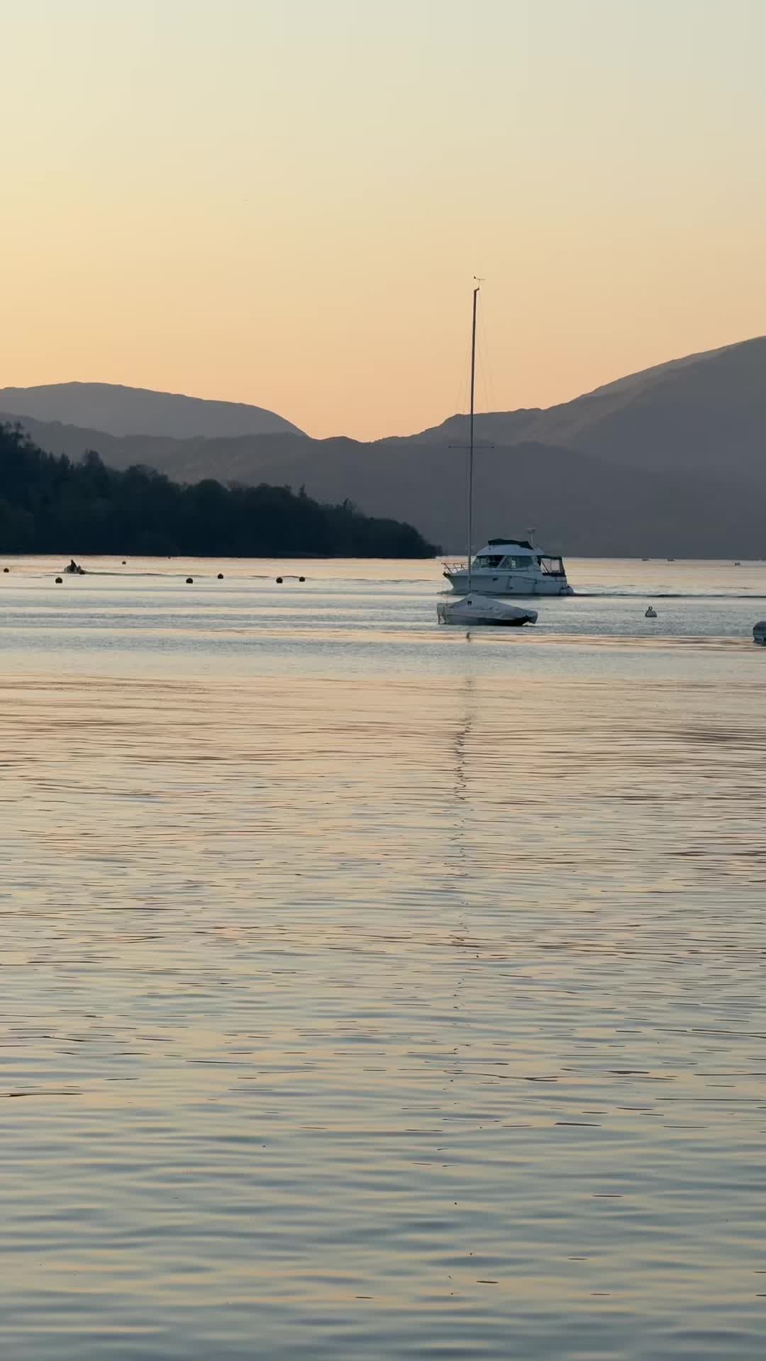@Maham