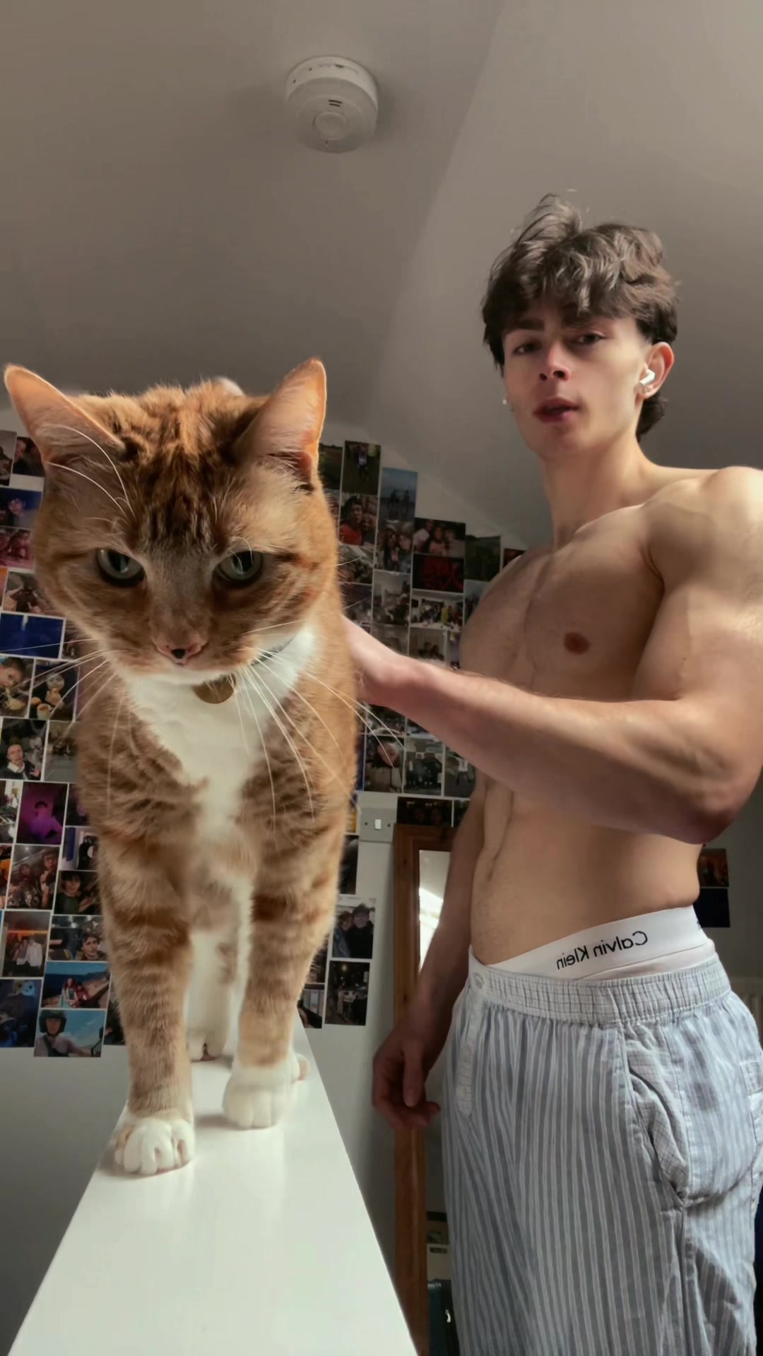 @npc__matthew