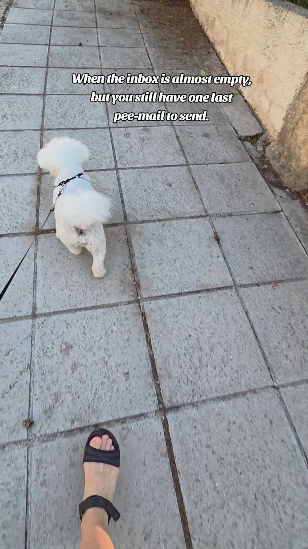 @Luna