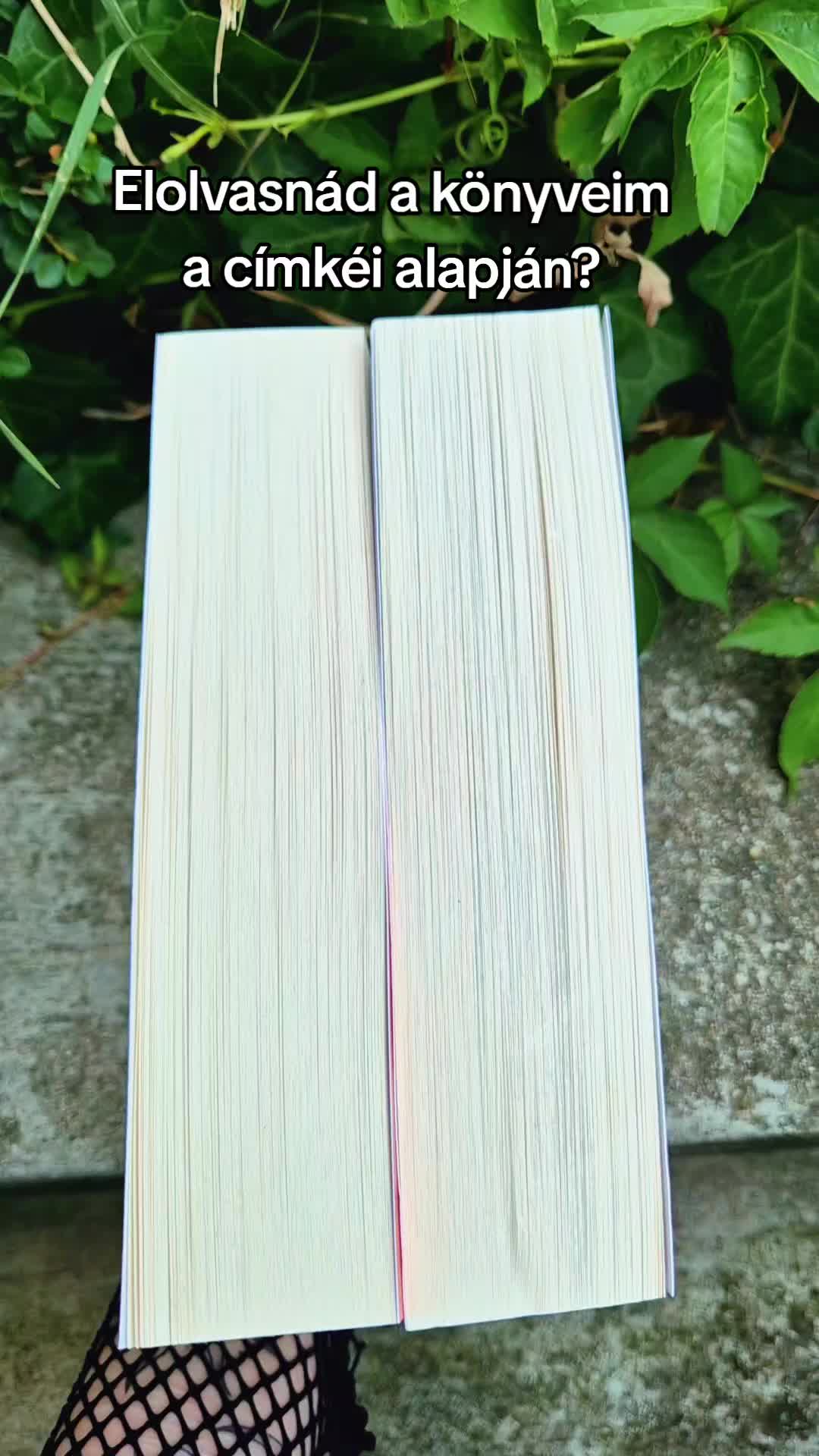 @Mezőföldi Pitypang író✍️