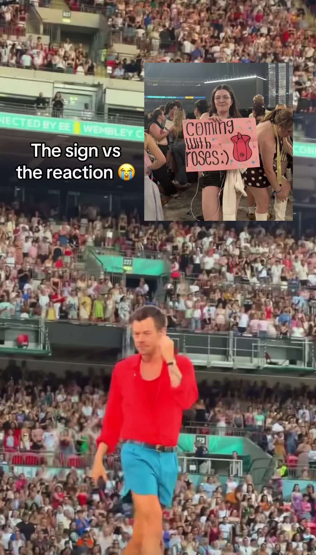 @𝓔𝓵𝓵𝓮