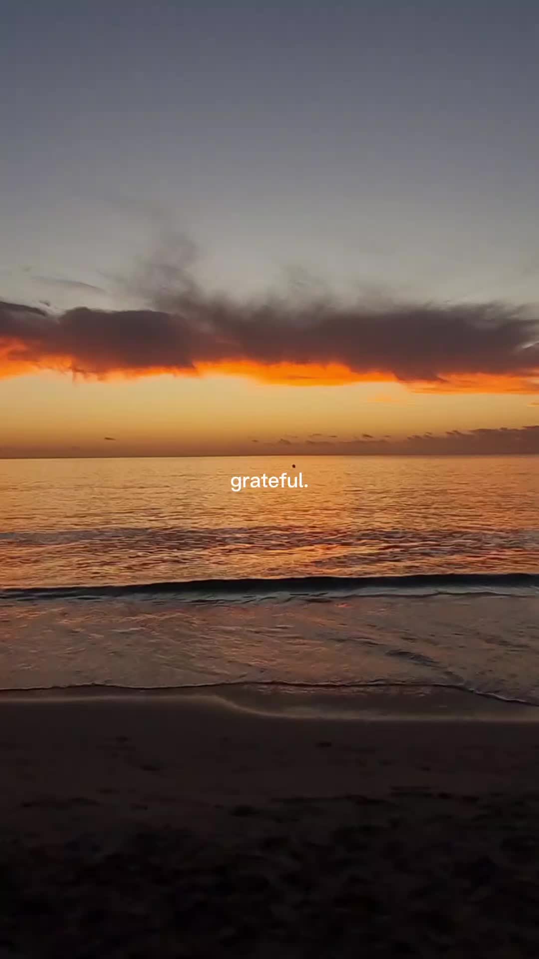 @Lili🦋
