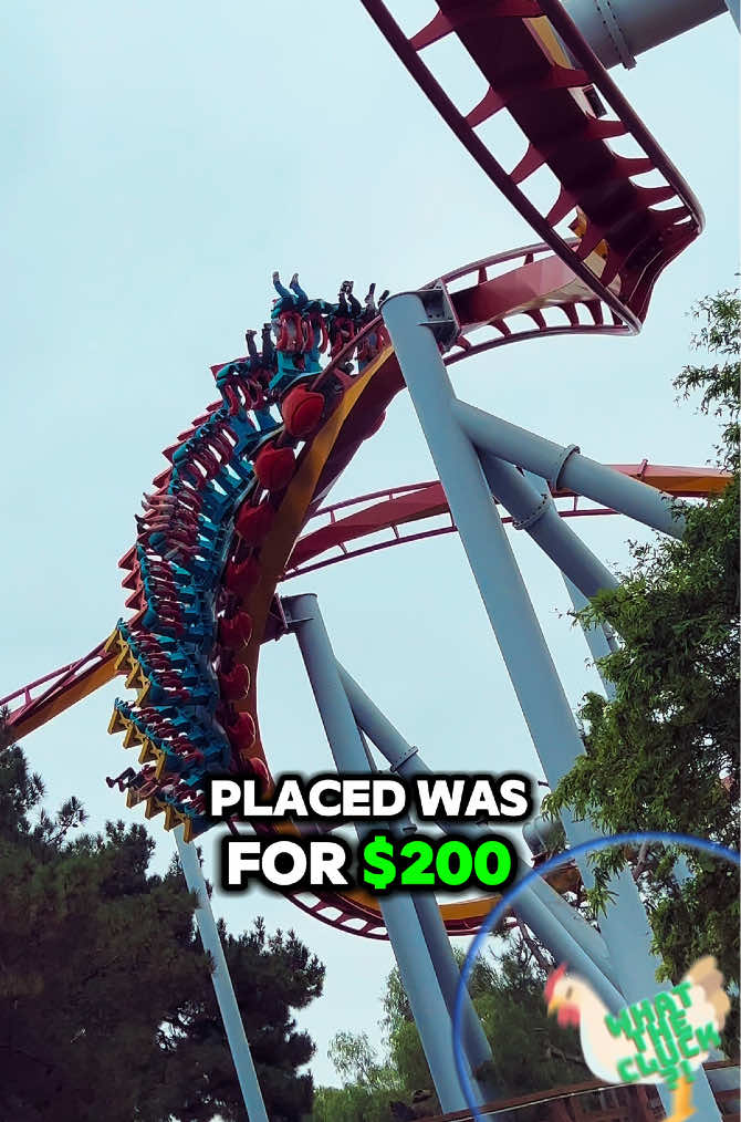 @Coaster Chicken