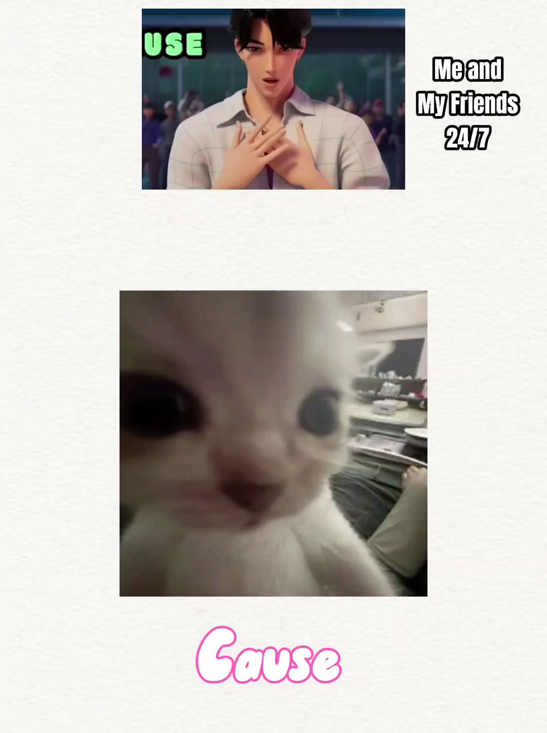@Alina Cute cat