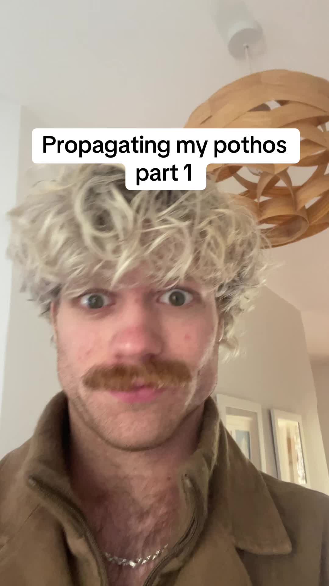 @ned