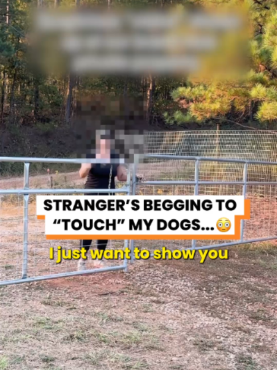 @Go Fetch