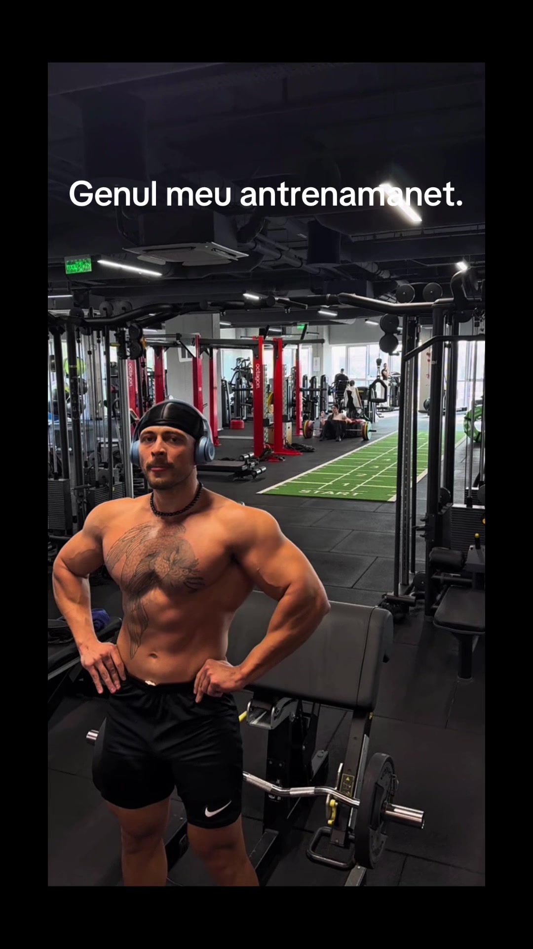 @AlexTatu.PT