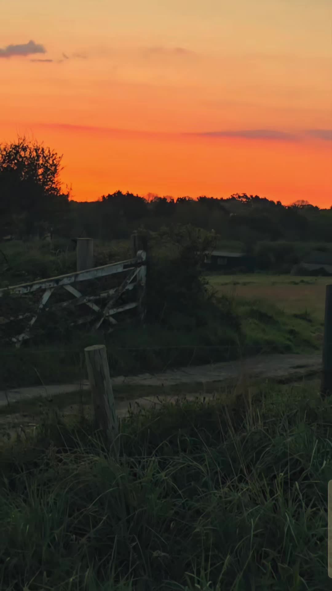@〓〓 Paul in Cornwall 〓〓
