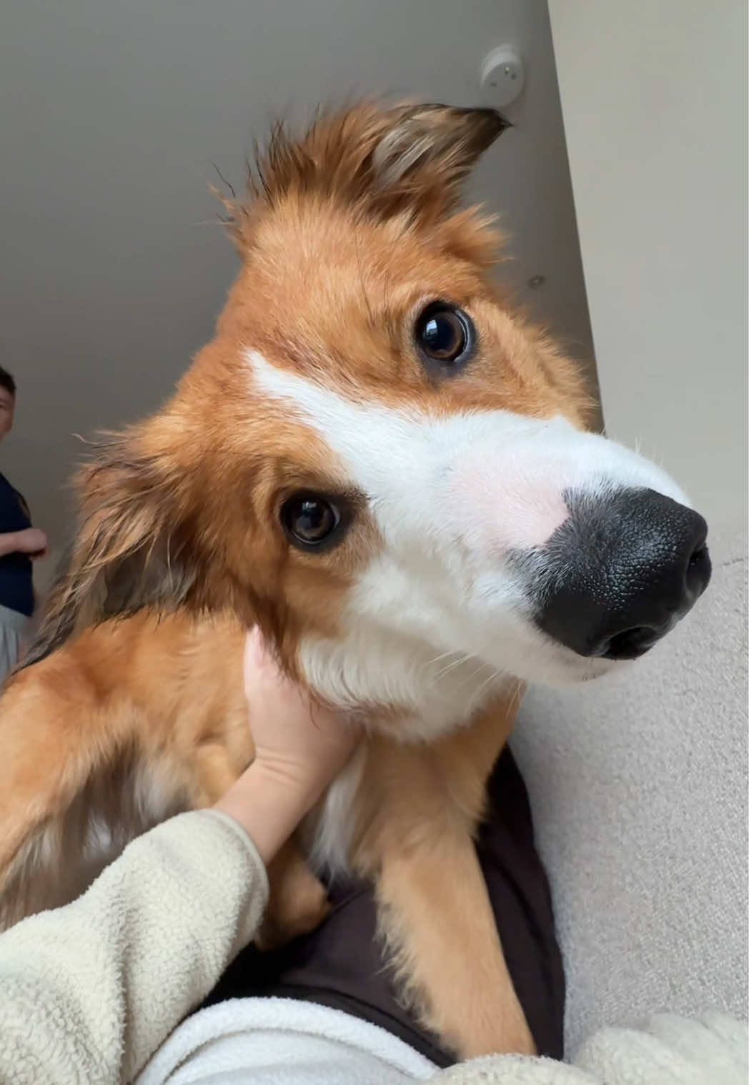 @Kam & Loki 🧡