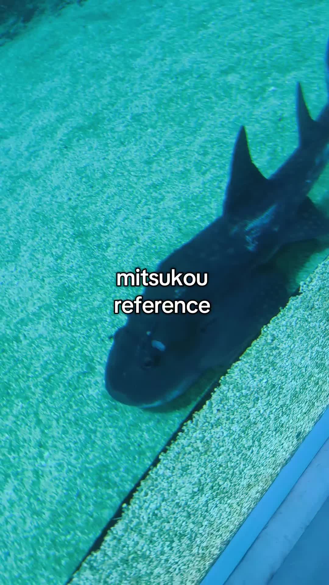 @(^^)