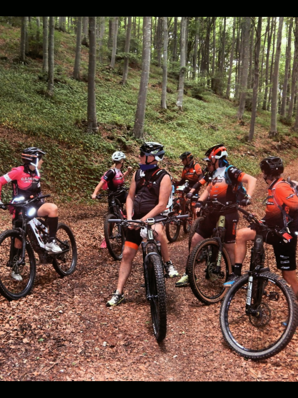 @EBIKE ALBIKE18