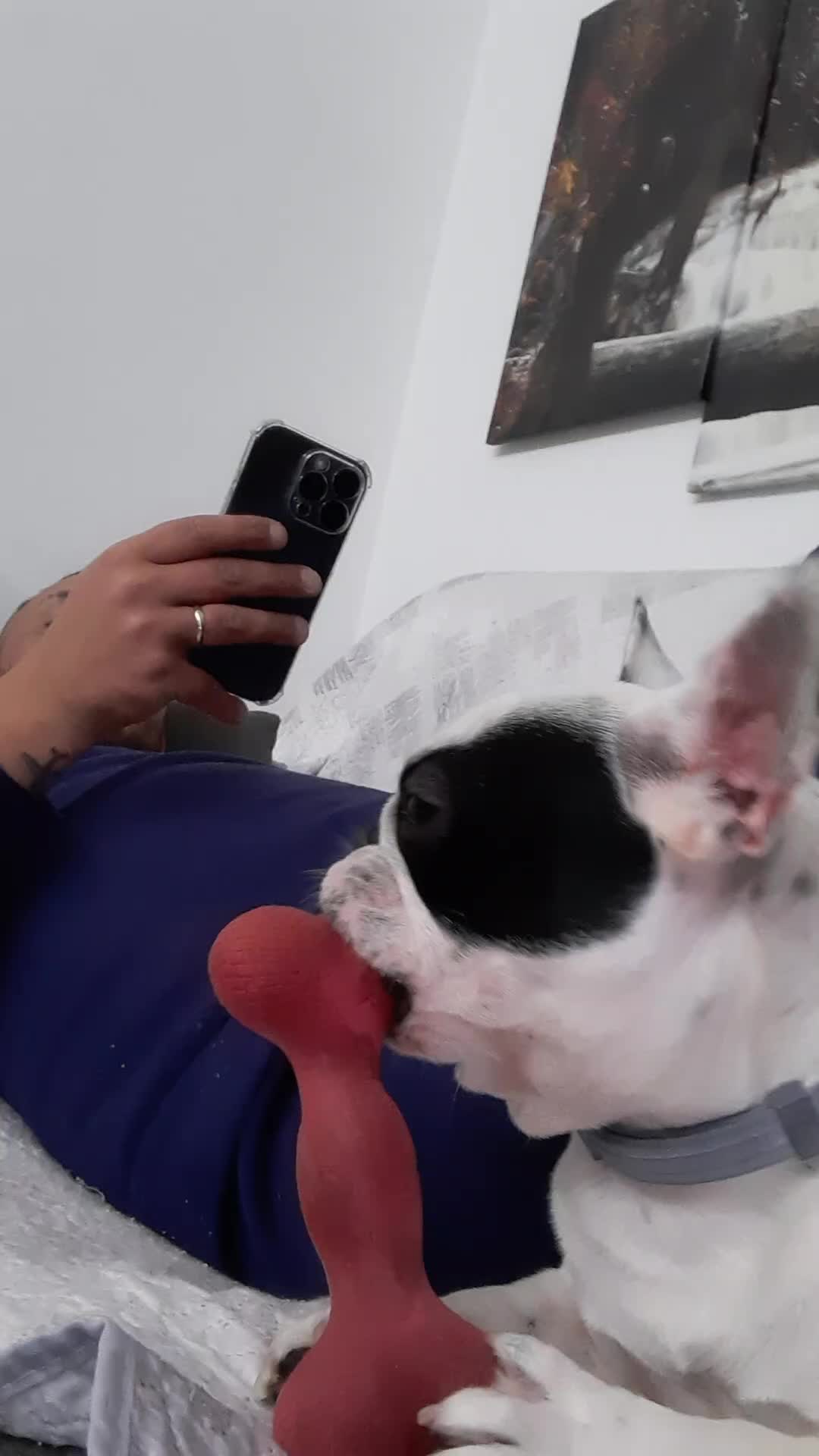 @Nelly🩷Maya🐶