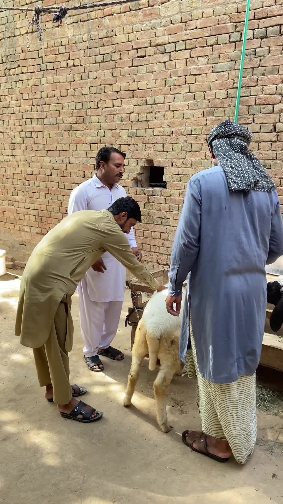 @Team Jawana Dii