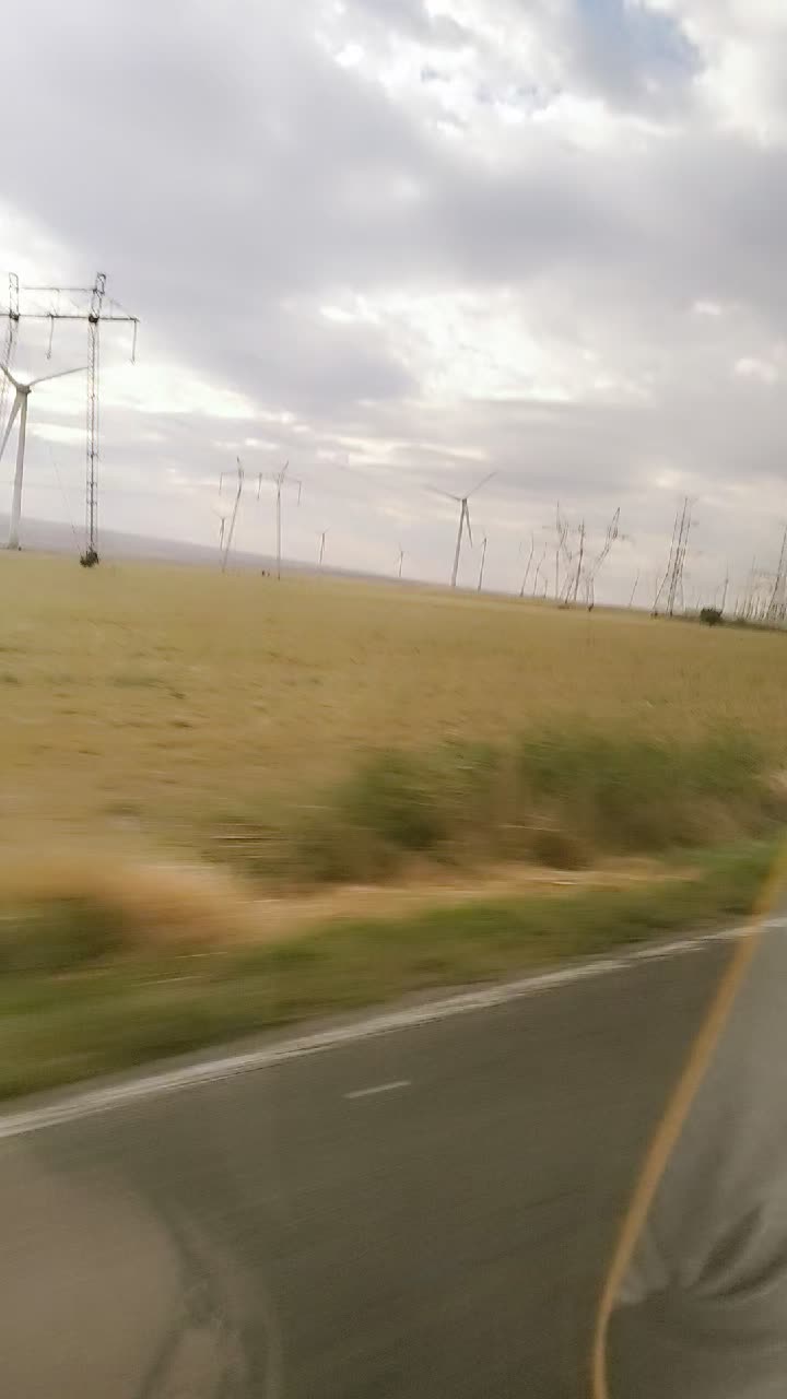 @floredanadelia2023