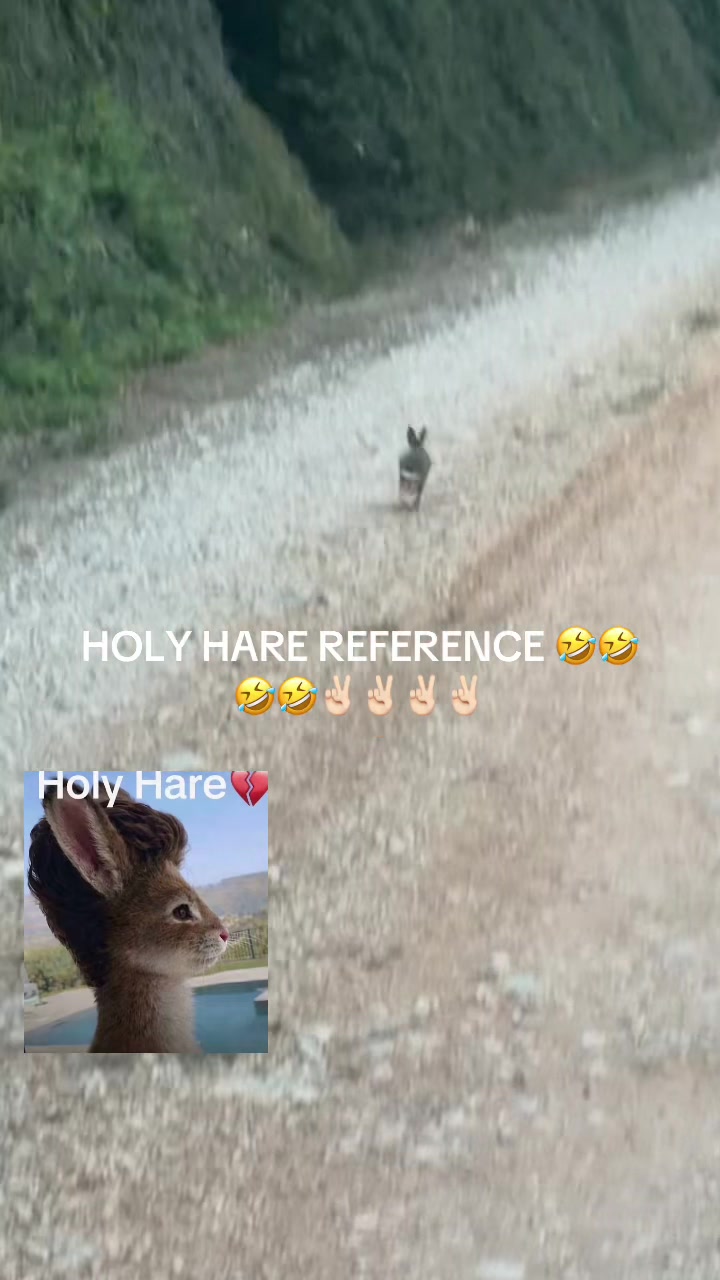 @Feliks