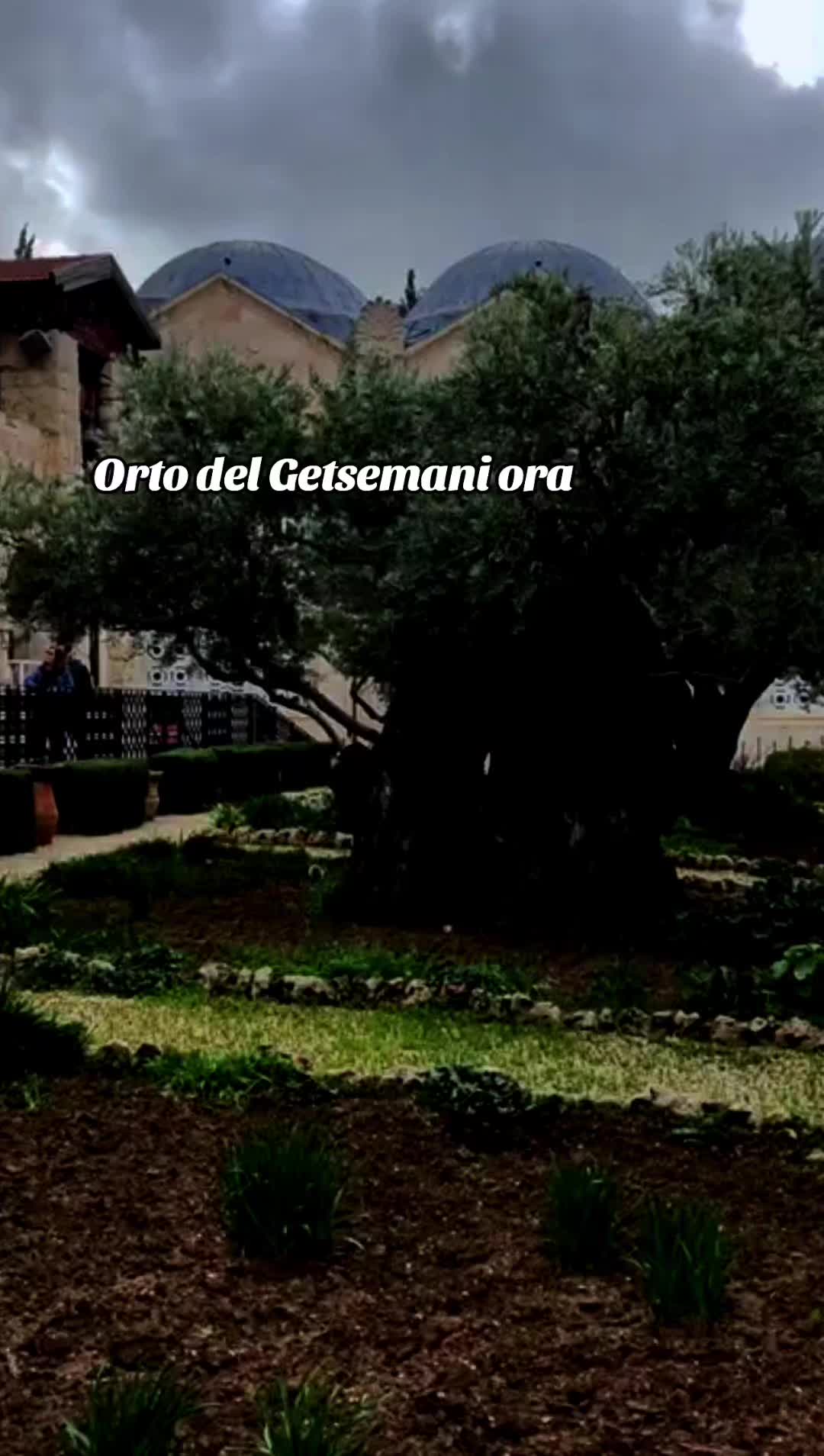 @Davide Barisano