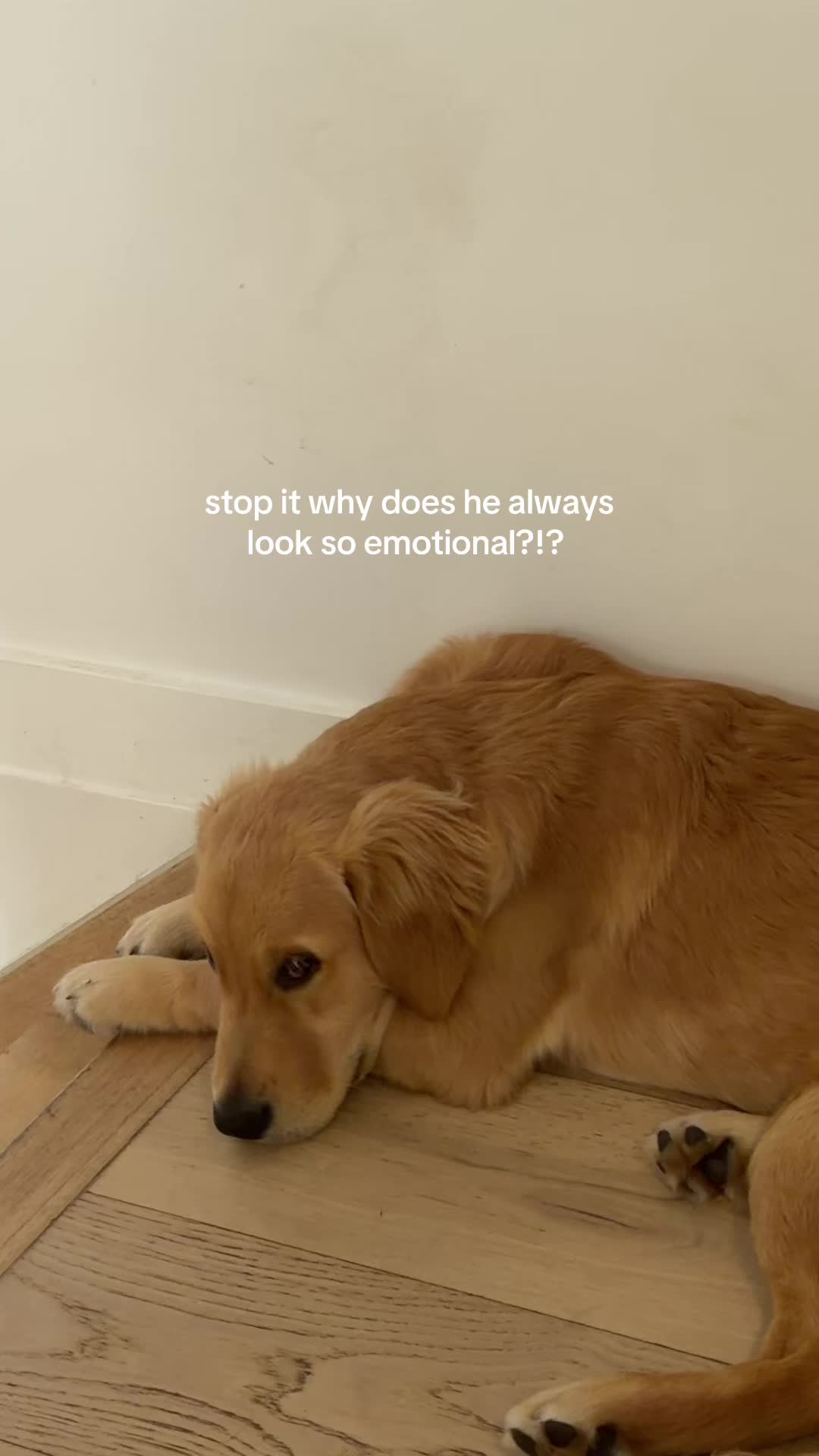 @em