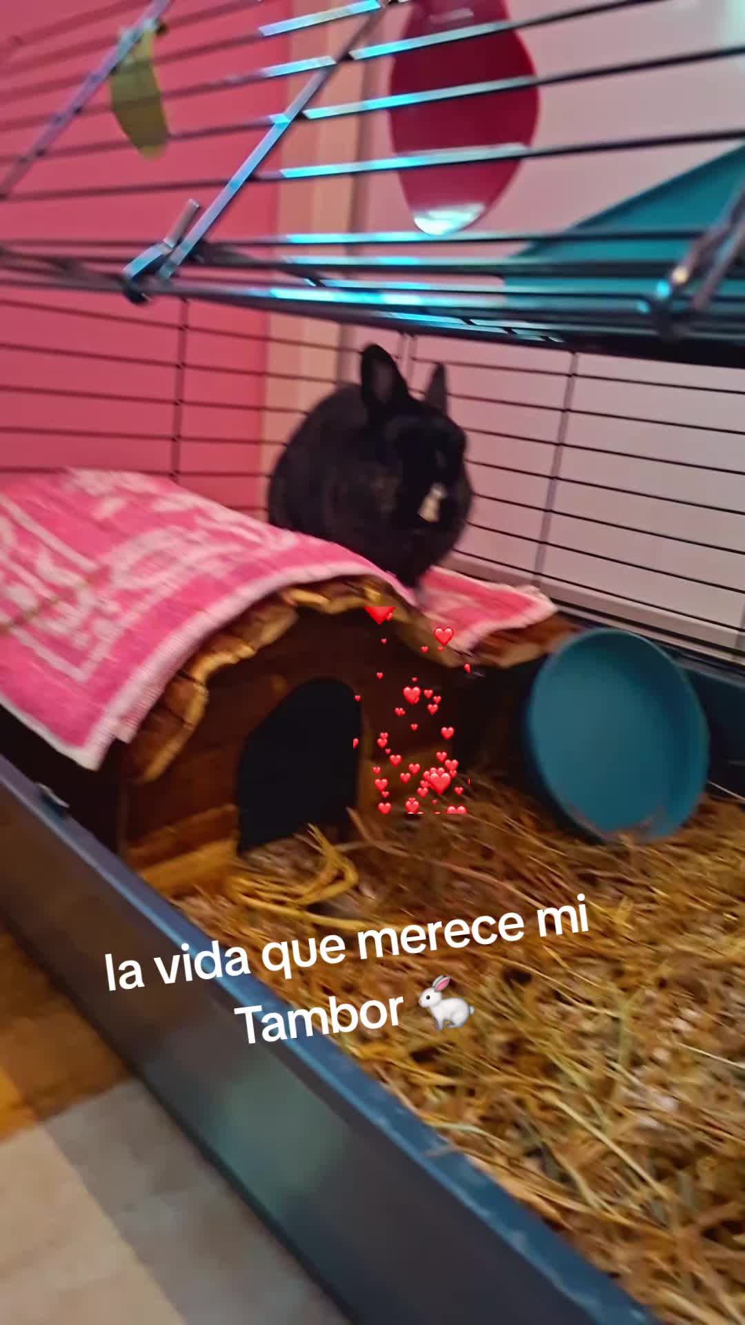 @Maria Pilar Chivo Ar