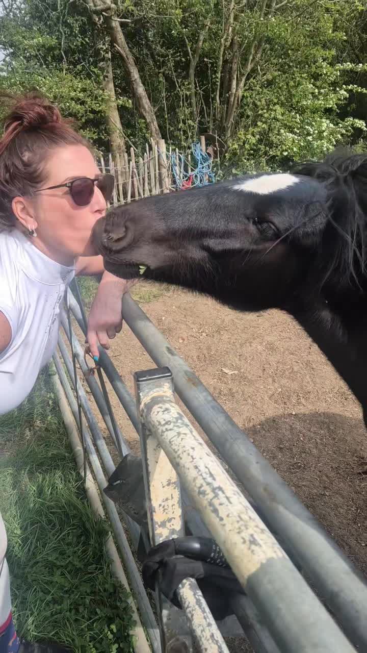 @Alfiepony