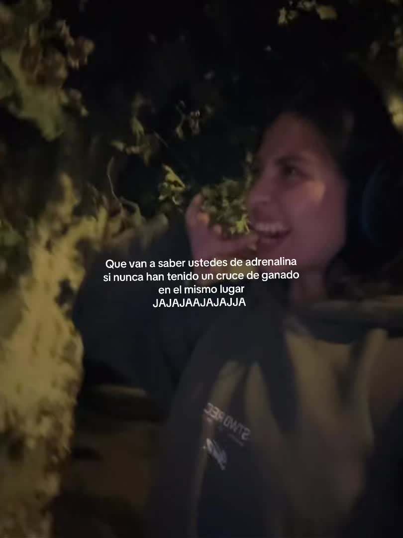 @Anacleta🌙