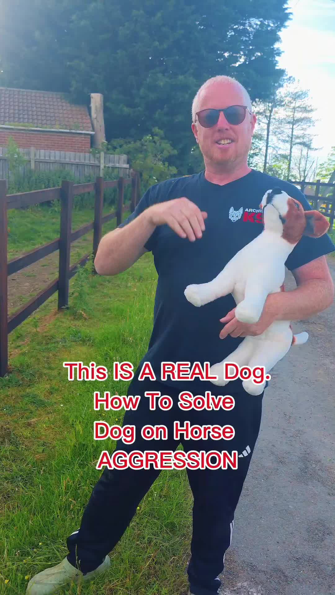 @Archer K9