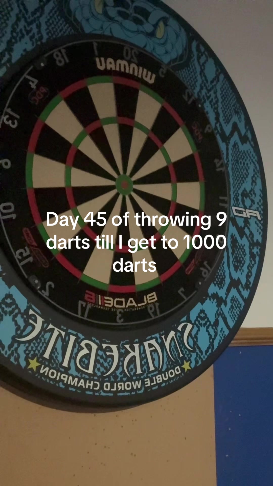 @ryan_darts2009