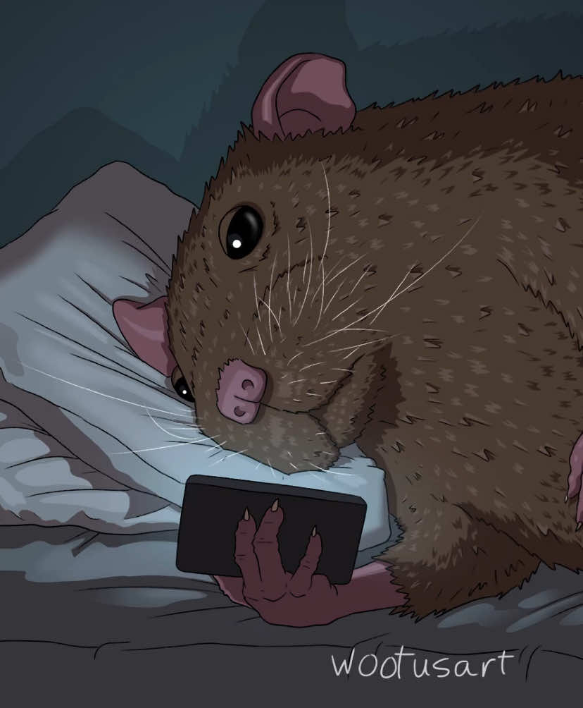 @wootusart