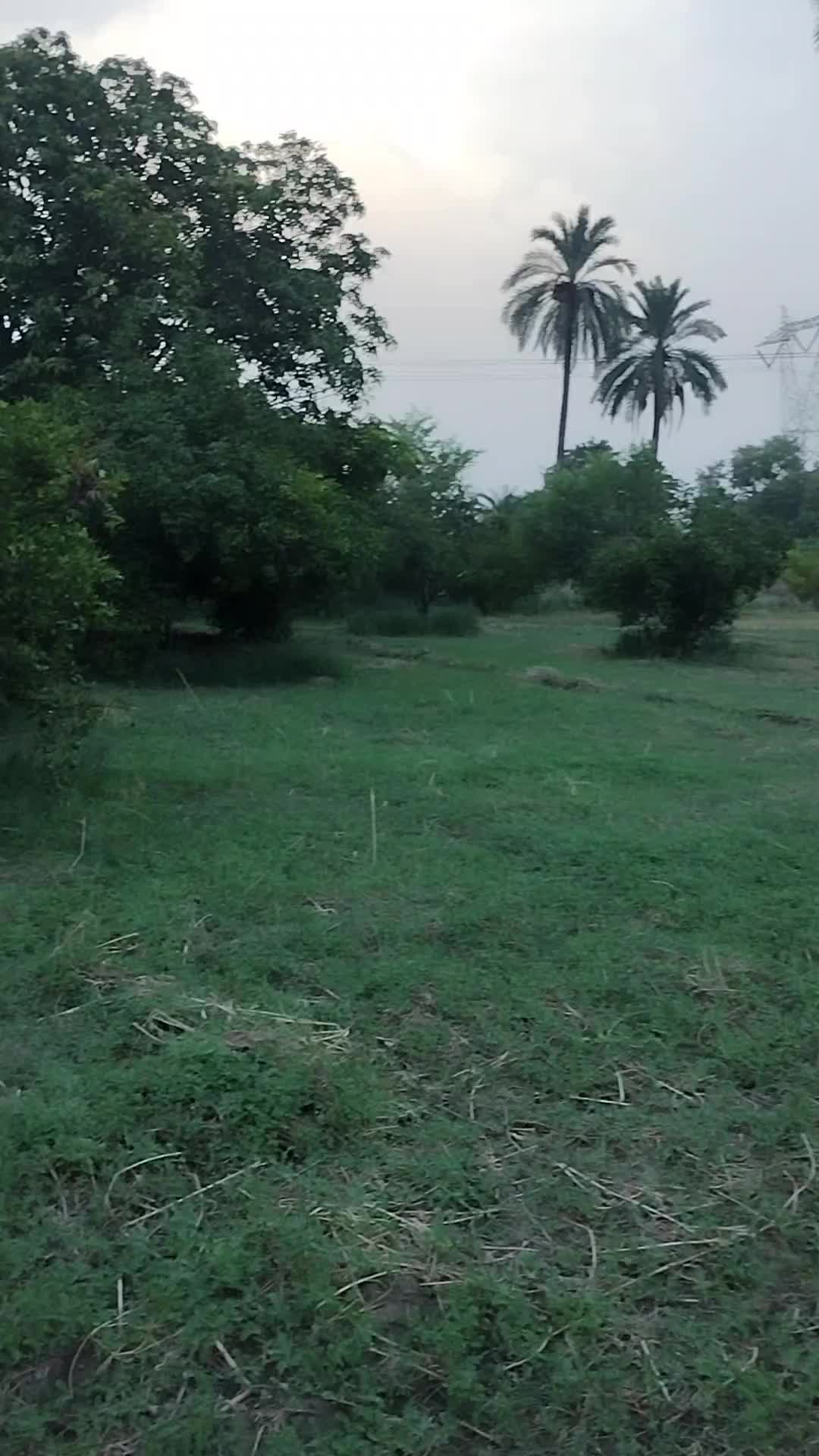 @Sohaib Khan