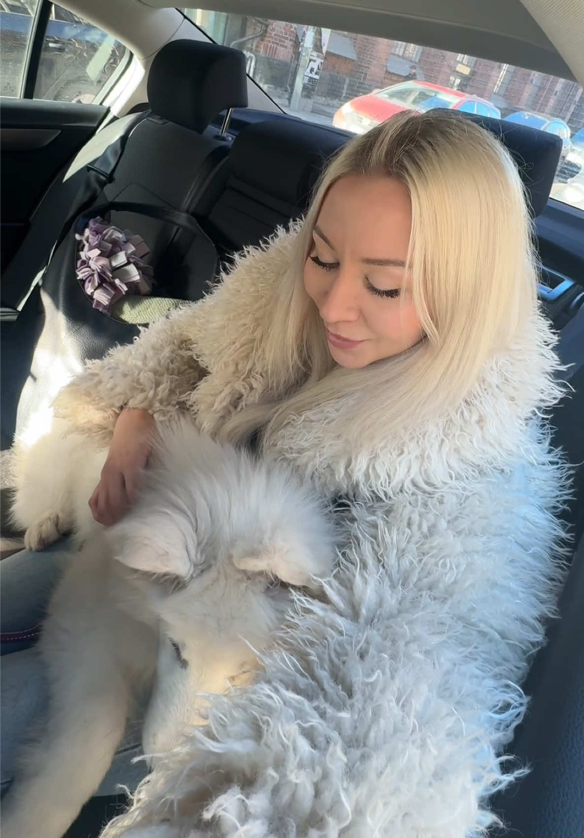 @JENESIS