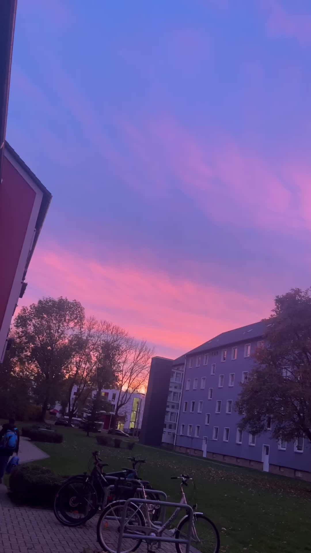 @S🌹