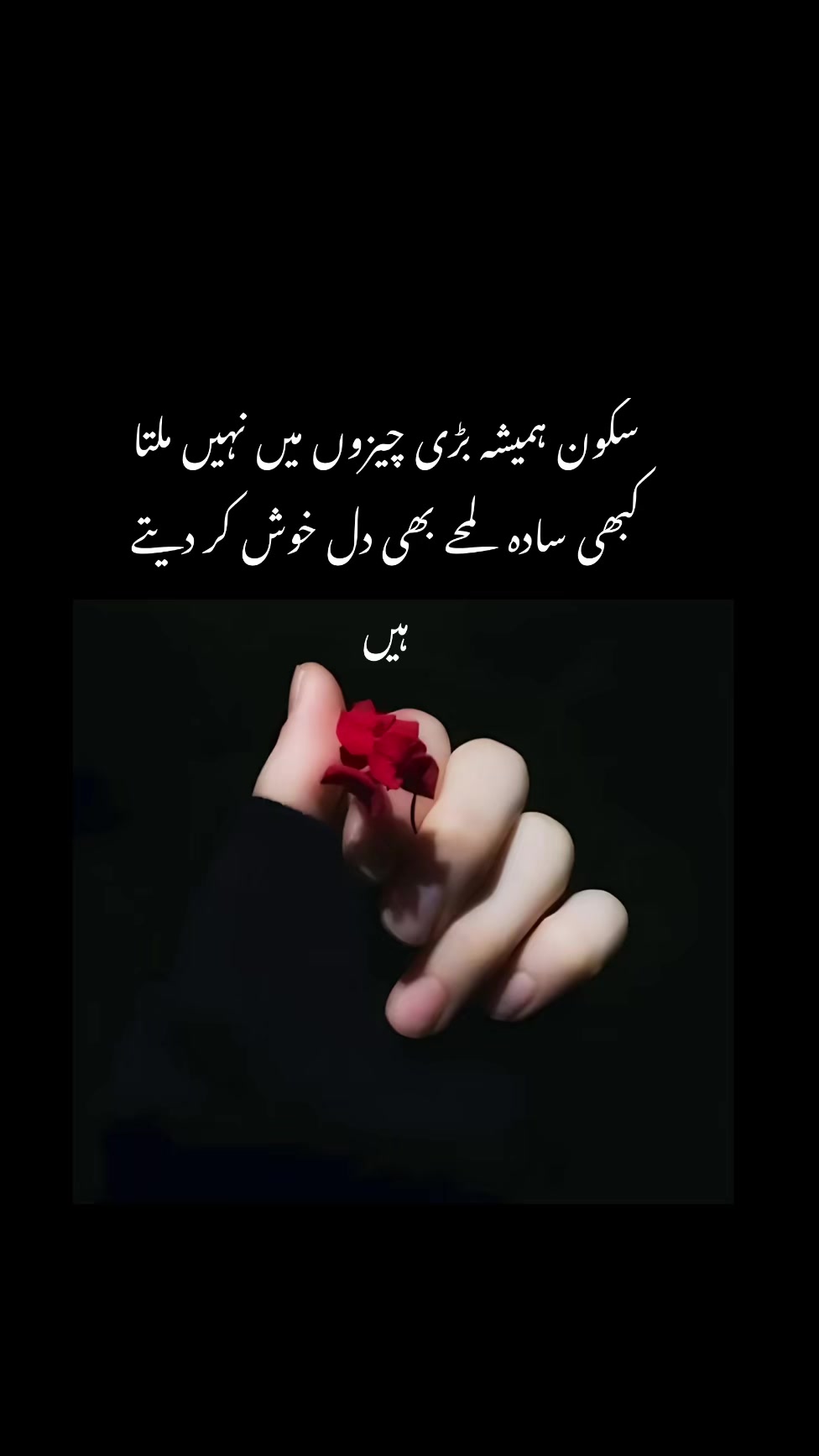 @Noor