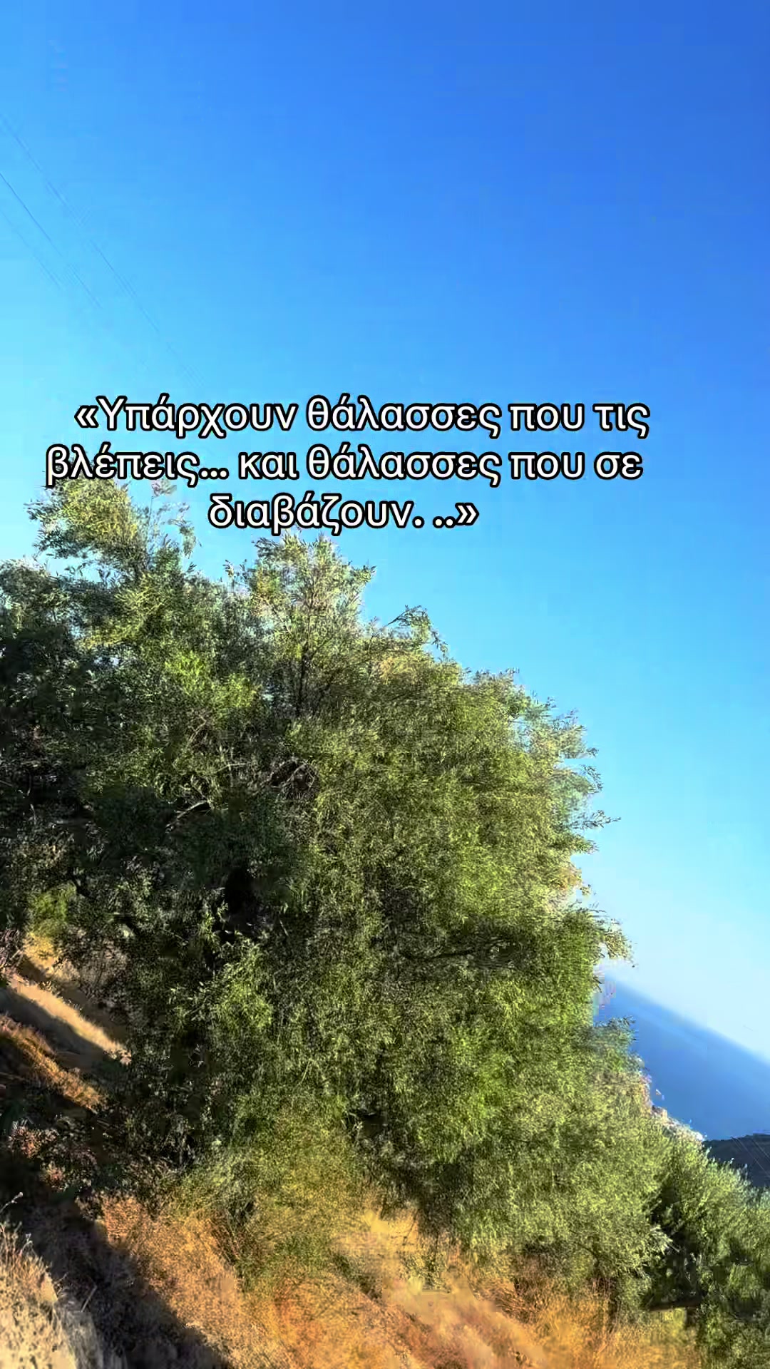 @Panagiota_karani 🧿