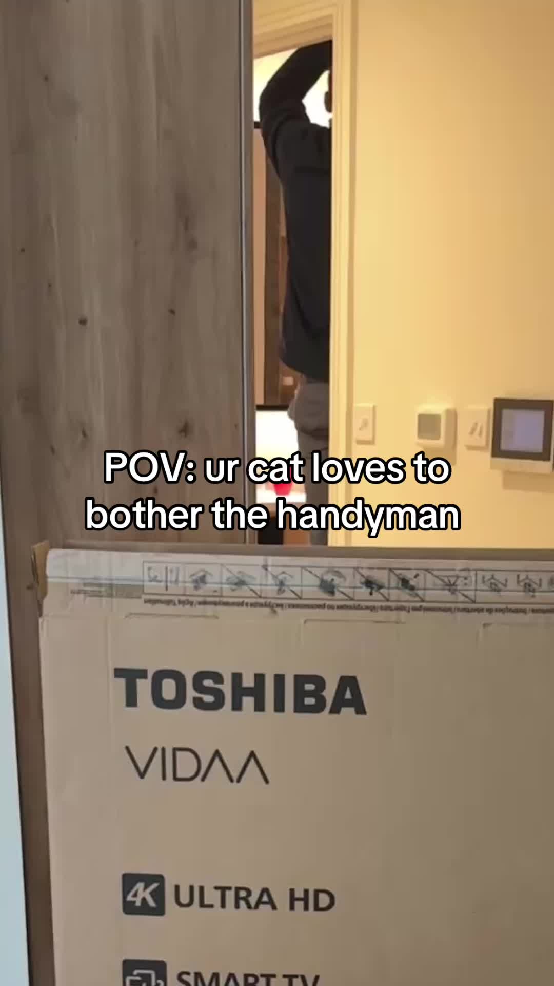 @Emojithecat