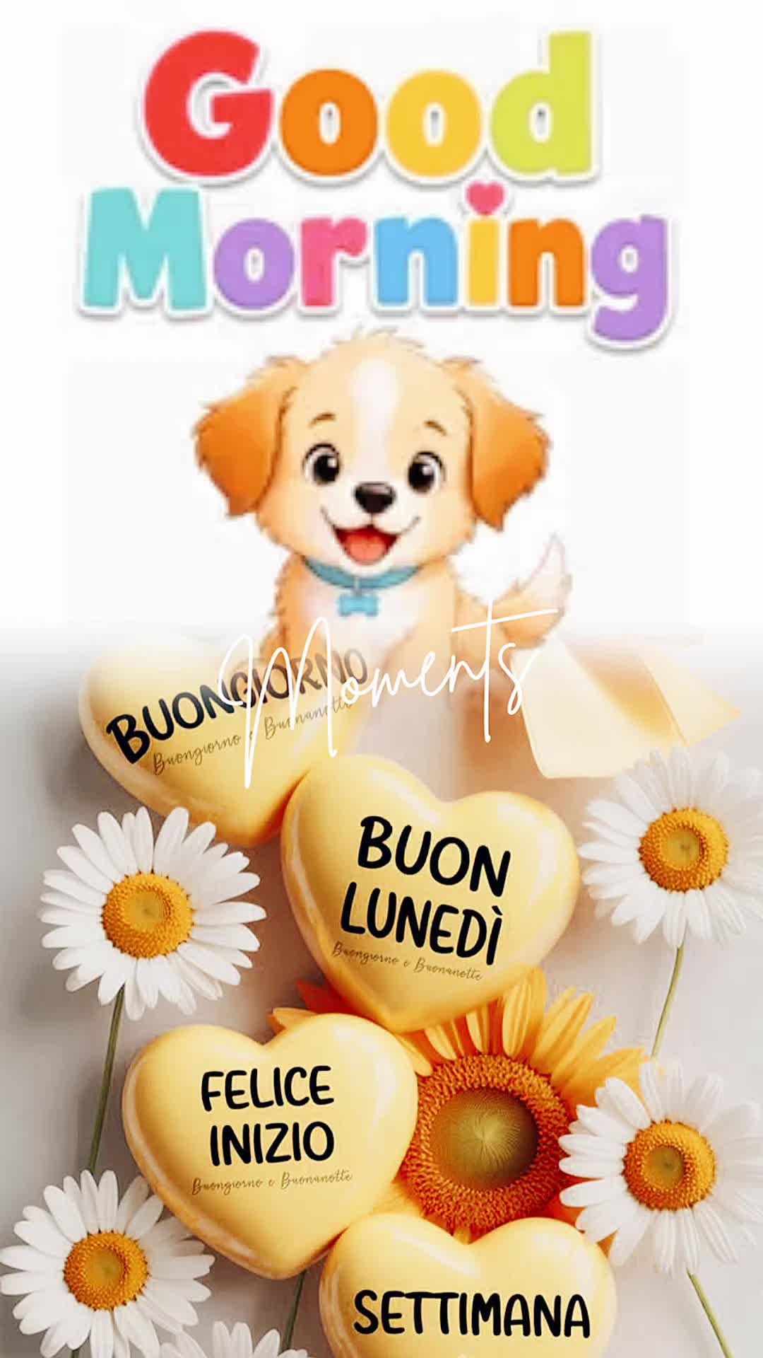 @Paola