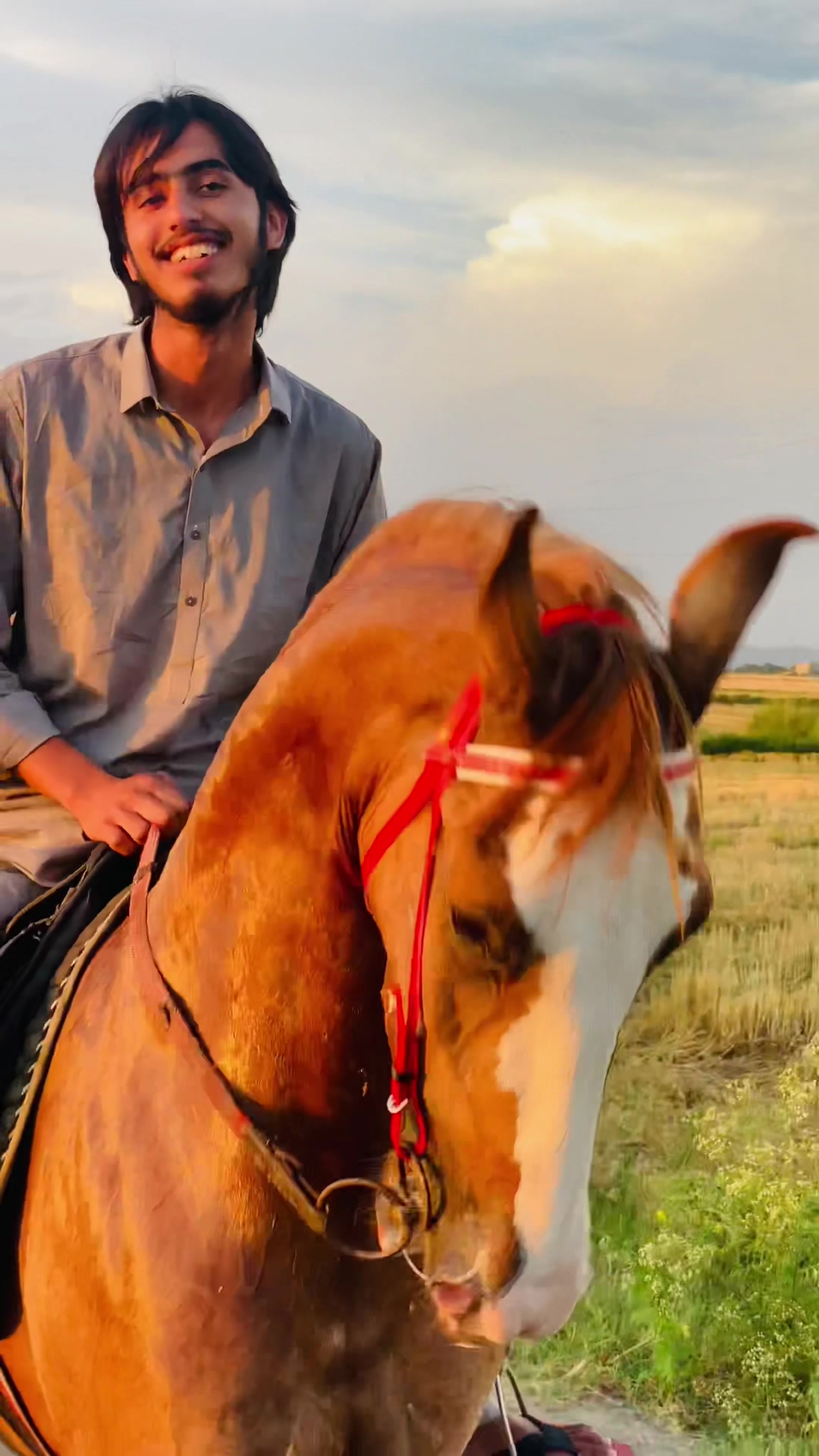 @Ch Hammad bokan &hearts;️🐎