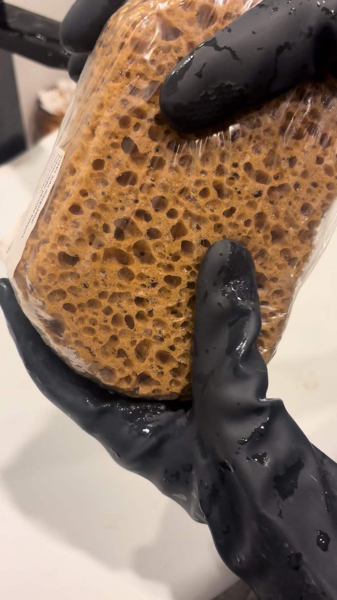 @Evelina_ASMR_sponge