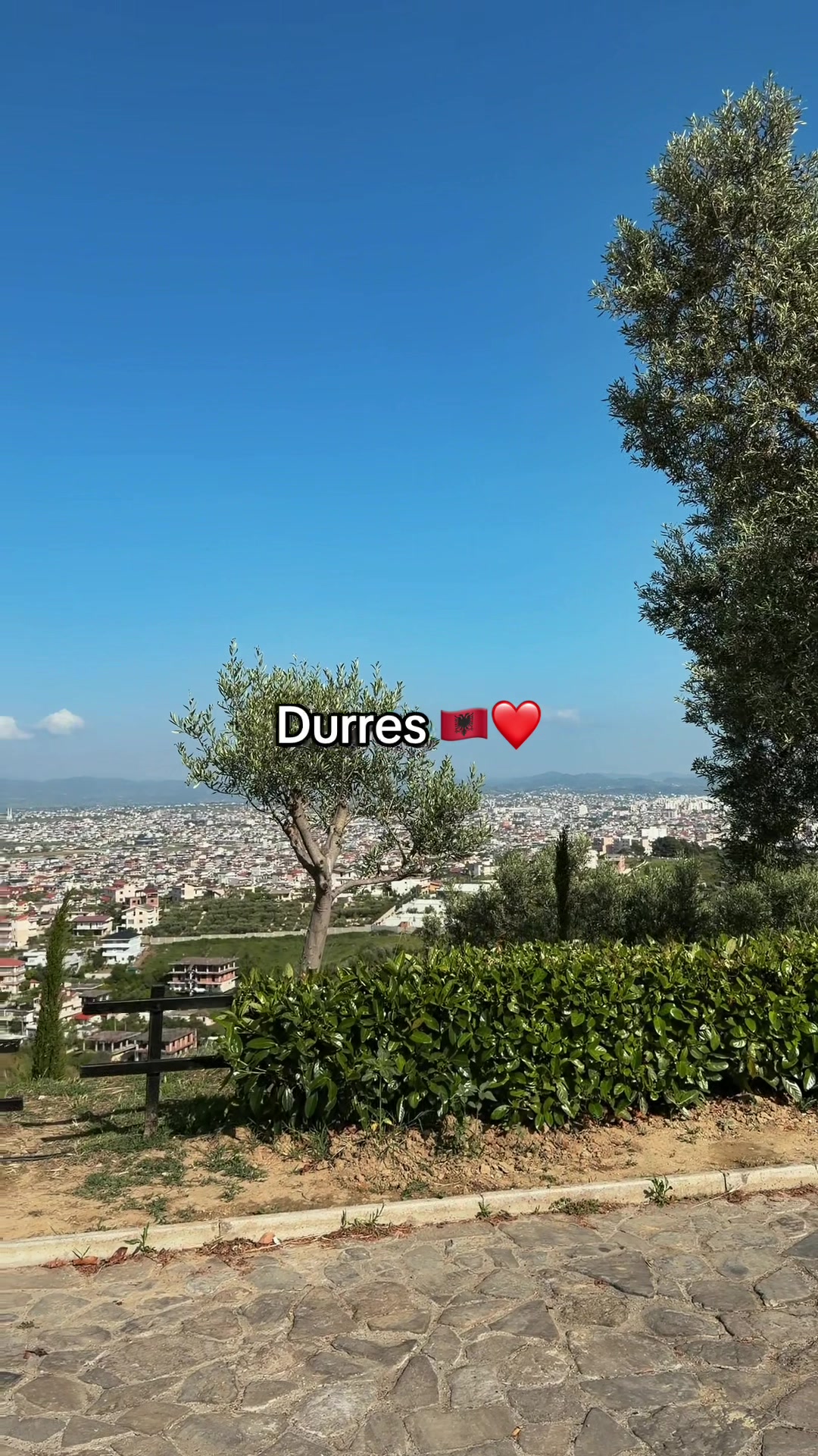 @evadede.it0