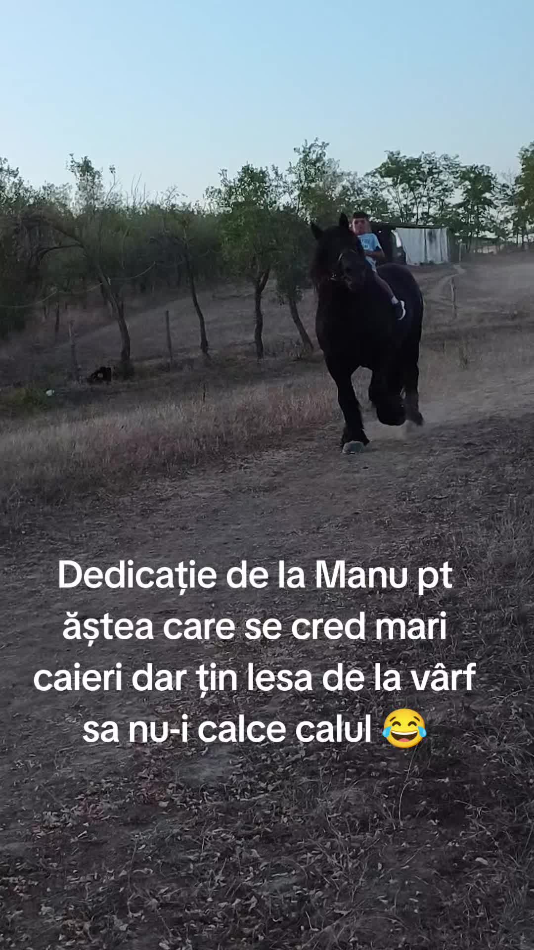 @Andrei Fernye
