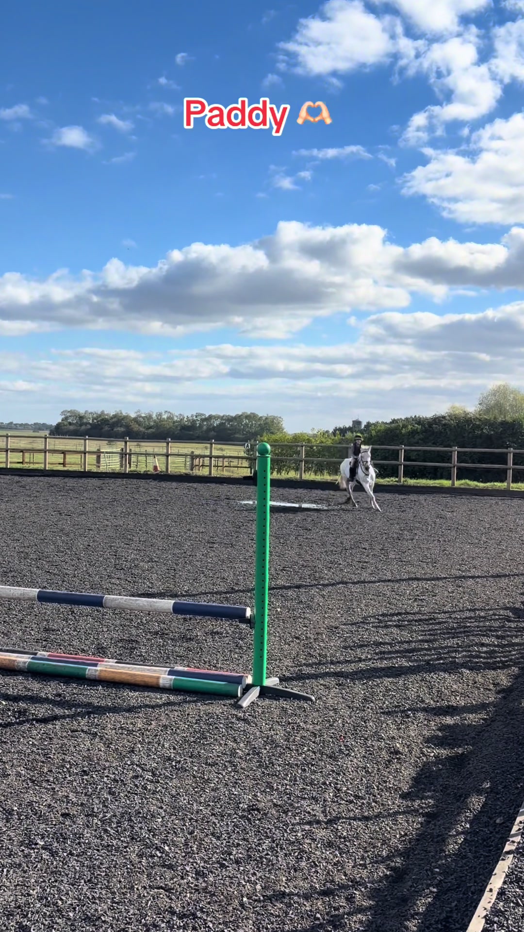 @Nina’s Pony Adventures ❤️