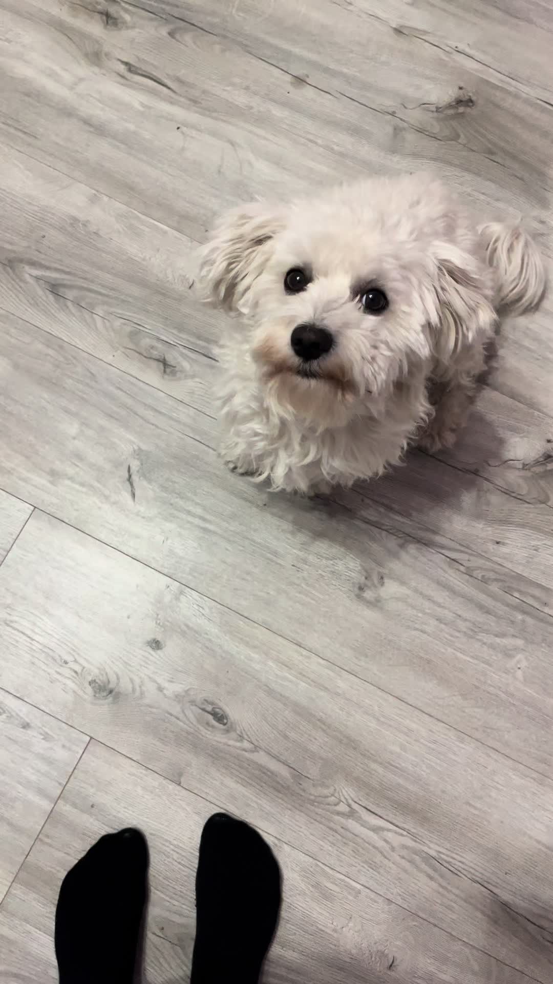 @🎀