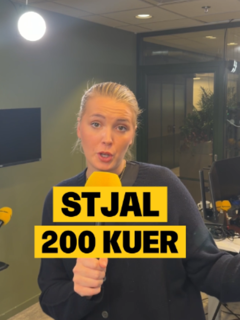 @Nettavisen