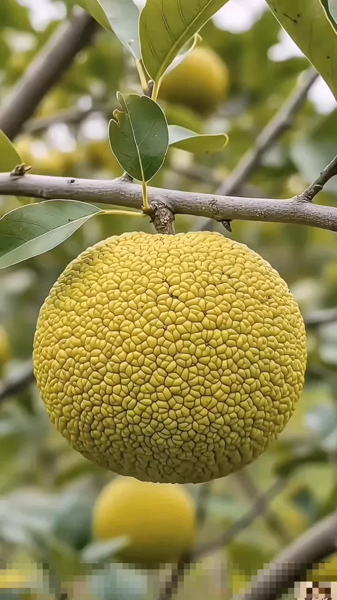 @SatisfyCut